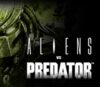Aliens Vs. Predator EU PC Steam CD Key