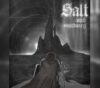 Salt and Sanctuary EU Steam CD Key